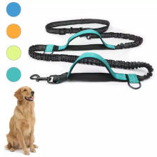 Upgrade Version Reflective Retractable Hands Free Dog Waist Leash Waterproof Dual Padded Handles Running Belt Dog Leash